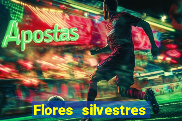 Flores silvestres brasileiras 25